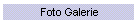 Foto Galerie