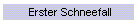 Erster Schneefall