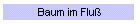 Baum im Flu�